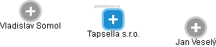 Tapsella s.r.o. - náhled vizuálního zobrazení vztahů obchodního rejstříku