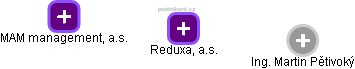 Reduxa, a.s. - náhled vizuálního zobrazení vztahů obchodního rejstříku