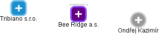 Bee Ridge a.s. - náhled vizuálního zobrazení vztahů obchodního rejstříku