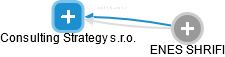 Consulting Strategy s.r.o. - náhled vizuálního zobrazení vztahů obchodního rejstříku
