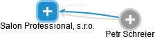 Salon Professional, s.r.o. - náhled vizuálního zobrazení vztahů obchodního rejstříku