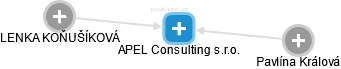 APEL Consulting s.r.o. - náhled vizuálního zobrazení vztahů obchodního rejstříku