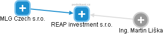 REAP investment s.r.o. - náhled vizuálního zobrazení vztahů obchodního rejstříku