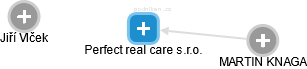 Perfect real care s.r.o. - náhled vizuálního zobrazení vztahů obchodního rejstříku