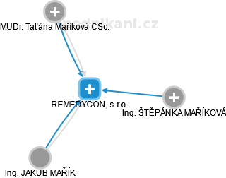 REMEDYCON, s.r.o. - náhled vizuálního zobrazení vztahů obchodního rejstříku