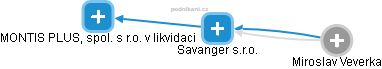 Savanger s.r.o. - náhled vizuálního zobrazení vztahů obchodního rejstříku