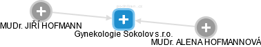 Gynekologie Sokolov s.r.o. - náhled vizuálního zobrazení vztahů obchodního rejstříku