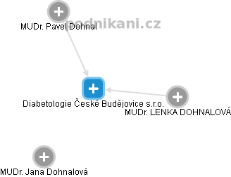 Diabetologie České Budějovice s.r.o. - náhled vizuálního zobrazení vztahů obchodního rejstříku
