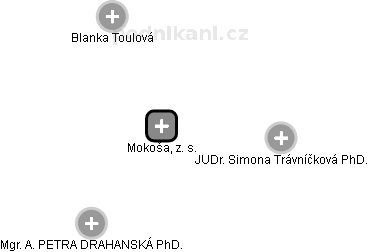 Mokoša, z. s. - náhled vizuálního zobrazení vztahů obchodního rejstříku