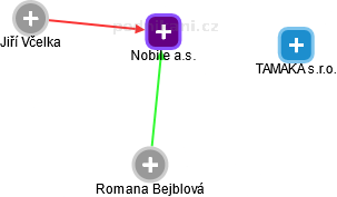 Nobile a.s. - náhled vizuálního zobrazení vztahů obchodního rejstříku
