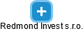Redmond Invest s.r.o. - náhled vizuálního zobrazení vztahů obchodního rejstříku
