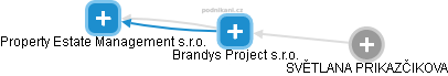 Brandys Project s.r.o. - náhled vizuálního zobrazení vztahů obchodního rejstříku