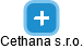 Cethana s.r.o. - náhled vizuálního zobrazení vztahů obchodního rejstříku