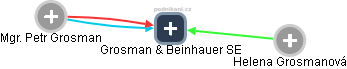 Grosman & Beinhauer SE - náhled vizuálního zobrazení vztahů obchodního rejstříku