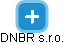 DNBR s.r.o. - náhled vizuálního zobrazení vztahů obchodního rejstříku