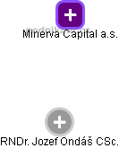 Minerva Capital a.s. - náhled vizuálního zobrazení vztahů obchodního rejstříku