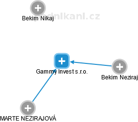 Gammy Invest s.r.o. - náhled vizuálního zobrazení vztahů obchodního rejstříku
