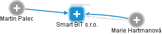 Smart BIT s.r.o. - náhled vizuálního zobrazení vztahů obchodního rejstříku