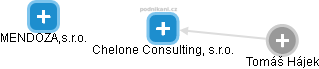 Chelone Consulting, s.r.o. - náhled vizuálního zobrazení vztahů obchodního rejstříku
