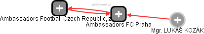 Ambassadors FC Praha - náhled vizuálního zobrazení vztahů obchodního rejstříku