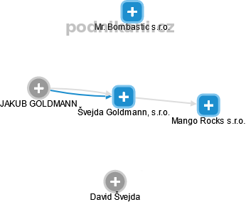 Švejda Goldmann, s.r.o. - náhled vizuálního zobrazení vztahů obchodního rejstříku