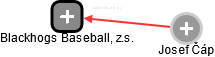 Blackhogs Baseball, z.s. - náhled vizuálního zobrazení vztahů obchodního rejstříku