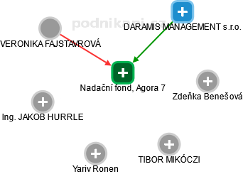 Nadační fond, Agora 7 - náhled vizuálního zobrazení vztahů obchodního rejstříku