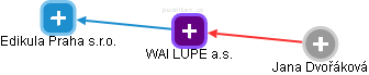 WAI LUPE a.s. - náhled vizuálního zobrazení vztahů obchodního rejstříku