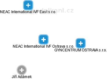 NEAC International IVF Ostrava s.r.o. - náhled vizuálního zobrazení vztahů obchodního rejstříku