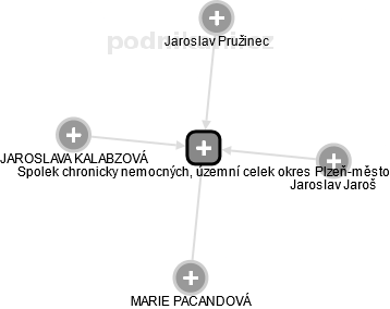 Spolek chronicky nemocných, územní celek okres Plzeň-město - náhled vizuálního zobrazení vztahů obchodního rejstříku