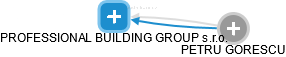 PROFESSIONAL BUILDING GROUP s.r.o. - náhled vizuálního zobrazení vztahů obchodního rejstříku