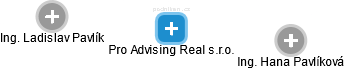 Pro Advising Real s.r.o. - náhled vizuálního zobrazení vztahů obchodního rejstříku