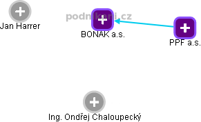 BONAK a.s. - náhled vizuálního zobrazení vztahů obchodního rejstříku
