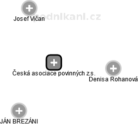Česká asociace povinných z.s. - náhled vizuálního zobrazení vztahů obchodního rejstříku