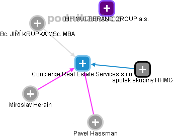 Concierge Real Estate Services s.r.o. - náhled vizuálního zobrazení vztahů obchodního rejstříku