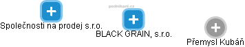 BLACK GRAIN, s.r.o. - náhled vizuálního zobrazení vztahů obchodního rejstříku