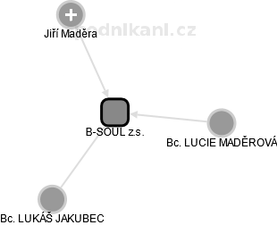 B-SOUL z.s. - náhled vizuálního zobrazení vztahů obchodního rejstříku