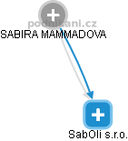SabOli s.r.o. - náhled vizuálního zobrazení vztahů obchodního rejstříku
