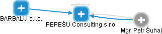 PEPEŠU Consulting s.r.o. - náhled vizuálního zobrazení vztahů obchodního rejstříku