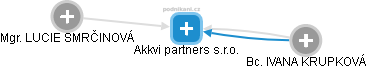 Akkvi partners s.r.o. - náhled vizuálního zobrazení vztahů obchodního rejstříku