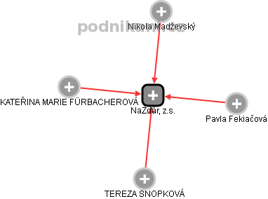 NaŽďár, z.s. - náhled vizuálního zobrazení vztahů obchodního rejstříku