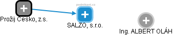 SALZO, s.r.o. - náhled vizuálního zobrazení vztahů obchodního rejstříku