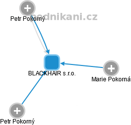 BLACKHAIR s.r.o. - náhled vizuálního zobrazení vztahů obchodního rejstříku