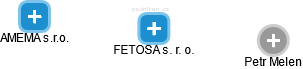 FETOSA s. r. o. - náhled vizuálního zobrazení vztahů obchodního rejstříku