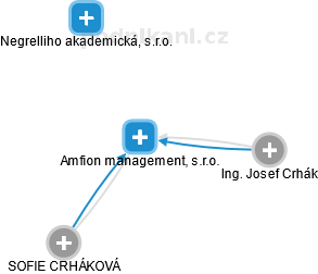 Amfion management, s.r.o. - náhled vizuálního zobrazení vztahů obchodního rejstříku
