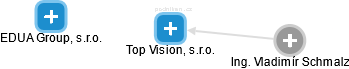 Top Vision, s.r.o. - náhled vizuálního zobrazení vztahů obchodního rejstříku