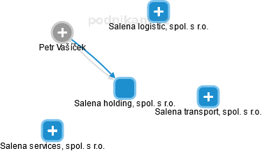 Salena holding, spol. s r.o. - náhled vizuálního zobrazení vztahů obchodního rejstříku