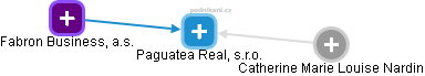 Paguatea Real, s.r.o. - náhled vizuálního zobrazení vztahů obchodního rejstříku