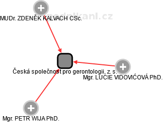 Česká společnost pro gerontologii, z. s. - náhled vizuálního zobrazení vztahů obchodního rejstříku
