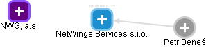NetWings Services s.r.o. - náhled vizuálního zobrazení vztahů obchodního rejstříku